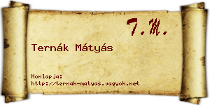 Ternák Mátyás névjegykártya