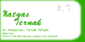 matyas ternak business card